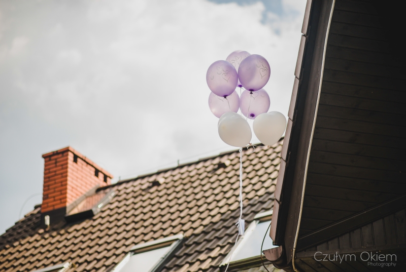 fotografia ślubna_reportaż_Bielsko-Biała_Dwór Świętoszówka066