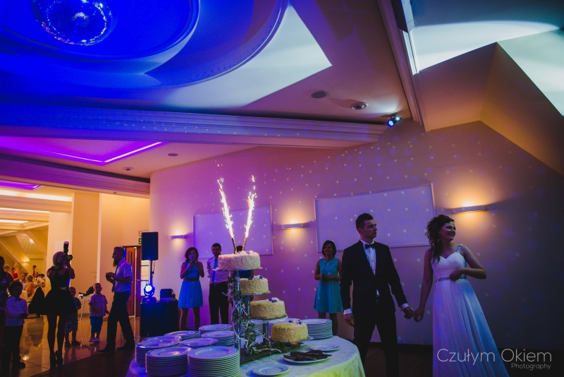 fotografia ślubna_reportaż_Bielsko-Biała_Dwór Świętoszówka095