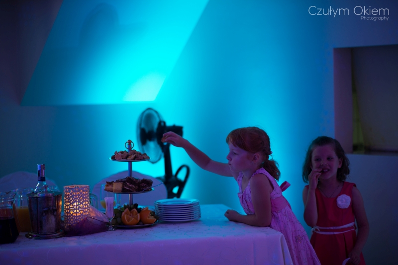 fotografia ślubna_reportaż_Bielsko-Biała_Dwór Świętoszówka102